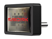 SanDisk Extreme Fit - USB-flashstasjon - 512 GB - USB-C 3.2 Gen 1 SDCZ530-512G-G46