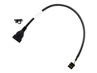 HP - Lageradaptersett - USB 2.0 - for Workstation Z4 G5 79C24AA