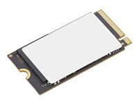 Lenovo - SSD - 1 TB - intern - M.2 2242 - PCIe 4.0 x4 - for ThinkBook 14 G6 IRL 21KG; 16 G6 IRL 21KH; 16 G7 ARP 21MW; 16 G7 IML 21MS 4XB1P80585