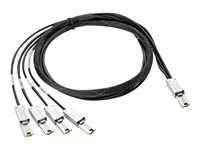 HPE - SAS ekstern kabel - 4-spors - 26-pin 4x Shielded Mini MultiLane SAS (SFF-8088) (hann) til 26-pin 4x Shielded Mini MultiLane SAS (SFF-8088) (hann) - 2 m - for HPE MSL2024, MSL4048, MSL8096; StorageWorks MSL4048; StoreEver MSL2024, MSL4048, MSL8096 AN975A
