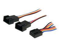 StarTech.com 12in 4 Pin Fan Power Splitter Cable - F/M - 1ft Fan Y Cable - 1ft 4-pin Fan Splitter Cable (FAN4SPLIT12) - Viftestrømsplitter - 4-pins PWM (hunn) til 4-pins PWM (hann) - 31 cm - for P/N: FAN1156PWM, FAN12025PWM, FAN8025PWM FAN4SPLIT12