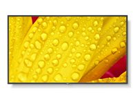 NEC MultiSync M551-2 - 55" Diagonalklasse (54.5" synlig) - M Series LED-bakgrunnsbelyst LCD-skjerm - intelligent skilting - med innebygd mediespiller / valgfri PC-funksjonalitet med spor - 4K UHD (2160p) 3840 x 2160 - HDR - direktebelyst LED - pantone 426M 60006085