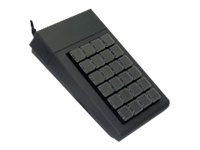 Active Key AK-100/24 - Tastatur - PS/2 - svart AK-100-PW-B/24